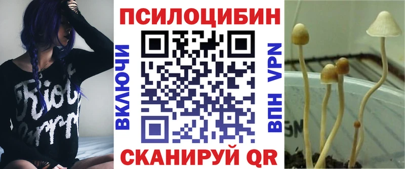 Псилоцибиновые грибы мухоморы blacksprut Приозерск